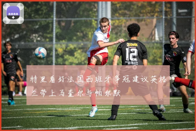 特里看好法国西班牙争冠建议英格兰带上马奎尔与帕尔默