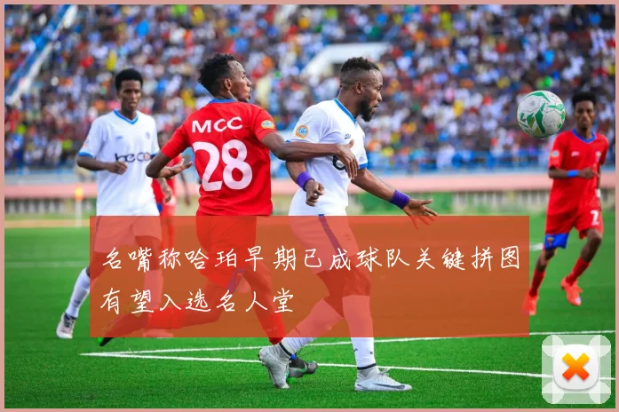 名嘴称哈珀早期已成球队关键拼图有望入选名人堂