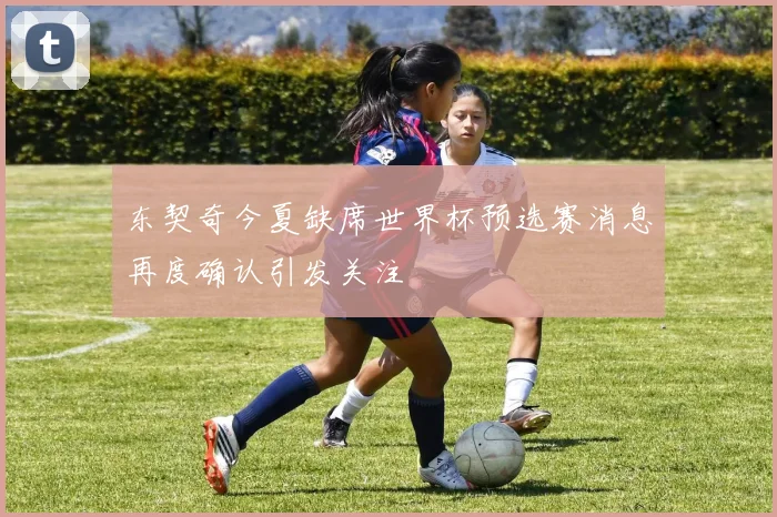 东契奇今夏缺席世界杯预选赛消息再度确认引发关注