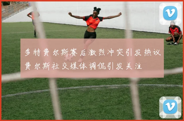 多特费尔斯赛后激烈冲突引发热议费尔斯社交媒体调侃引发关注