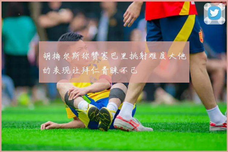 胡梅尔斯称赞塞巴里挑射难度大他的表现让拜仁青睐不已